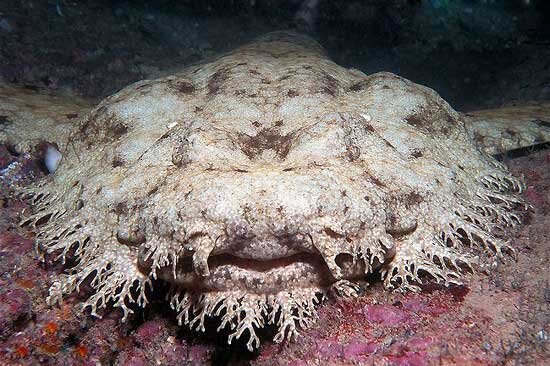 Источник: yandex.ru