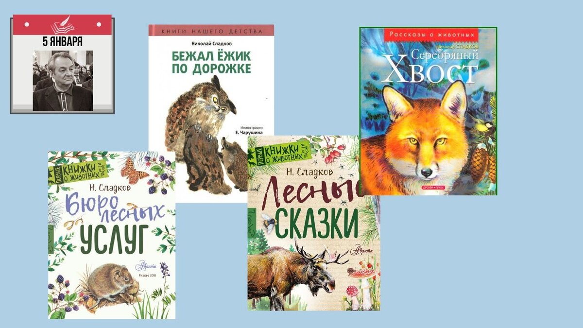 Николай Сладков: «Я пишу о природе, потому что её очень люблю…» | Елена  Алфёрова | Дзен