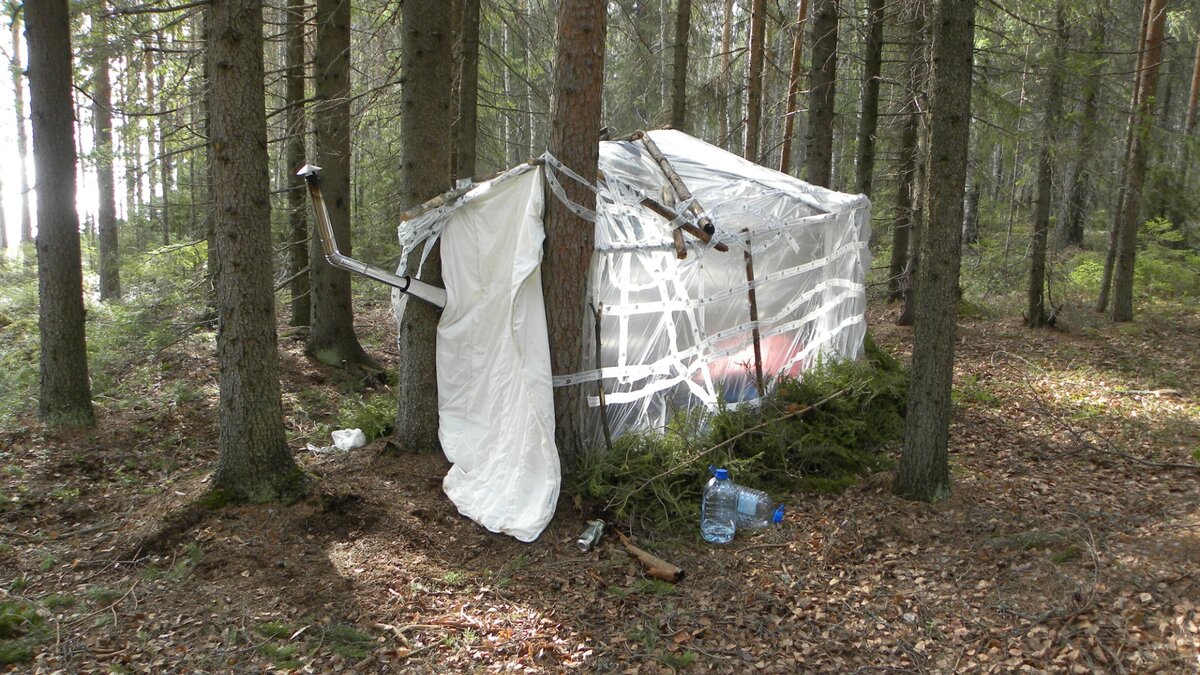Балаган в Карельском лесу / фото автора