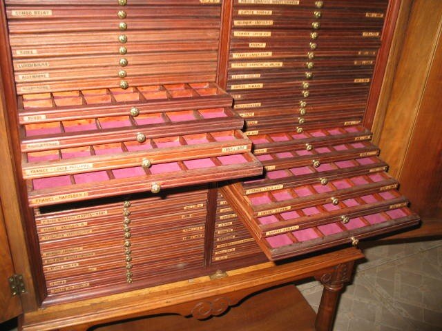 фото поисковой системы Яндекса. нажмите стрелку и посмотрите подборку фото.