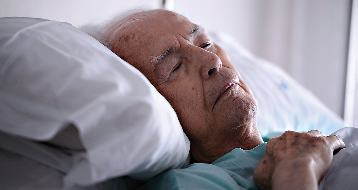 Фото взято из открытых источников