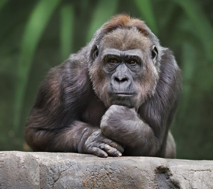 Природой предопределено, что самец ищет самку. А сегодня? Женщины учатся поиску определенного типа мужчин