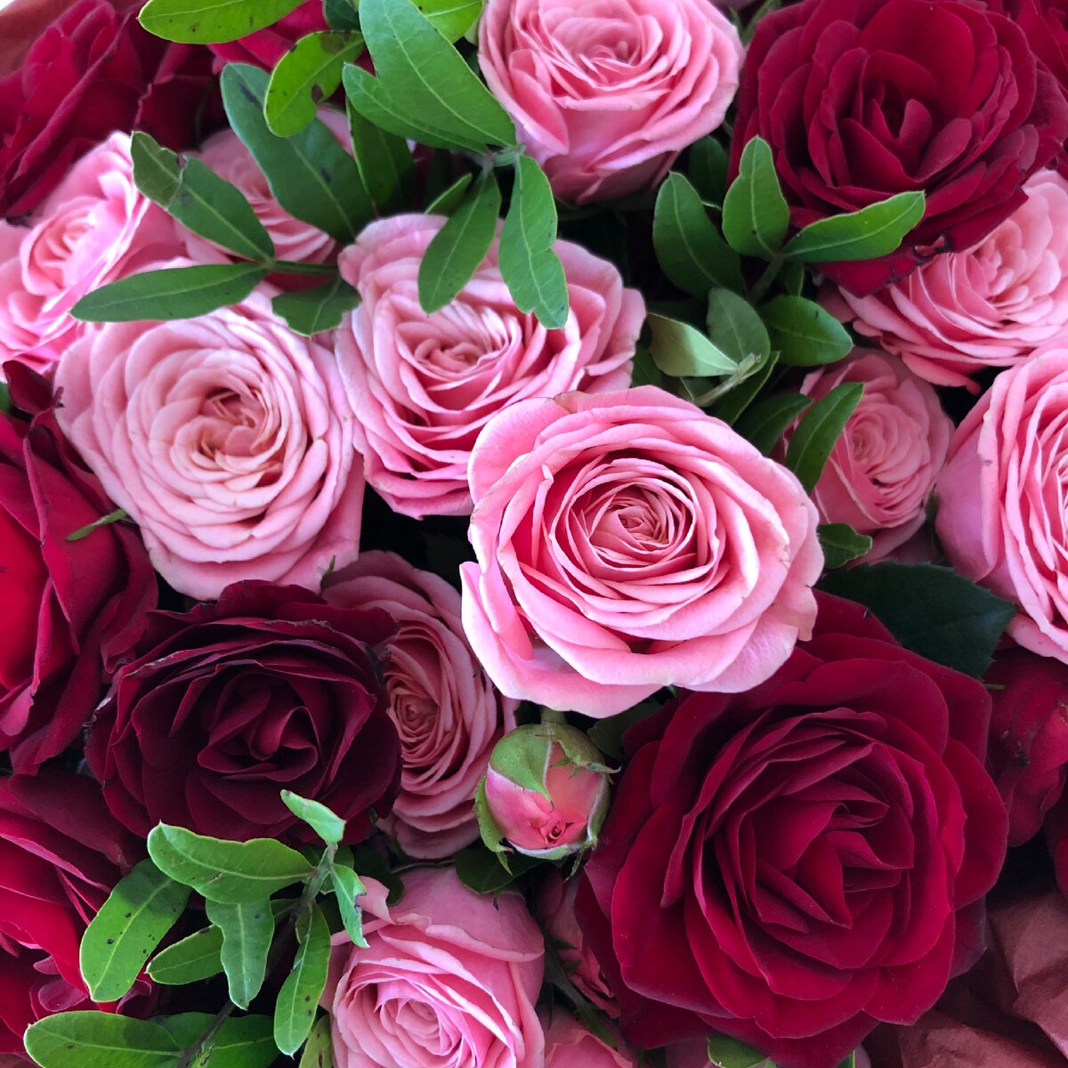 Муж чаще всего дарит мне сложные цветочные композиции