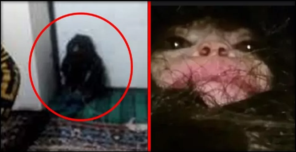 Предположительное изображение барабашки.