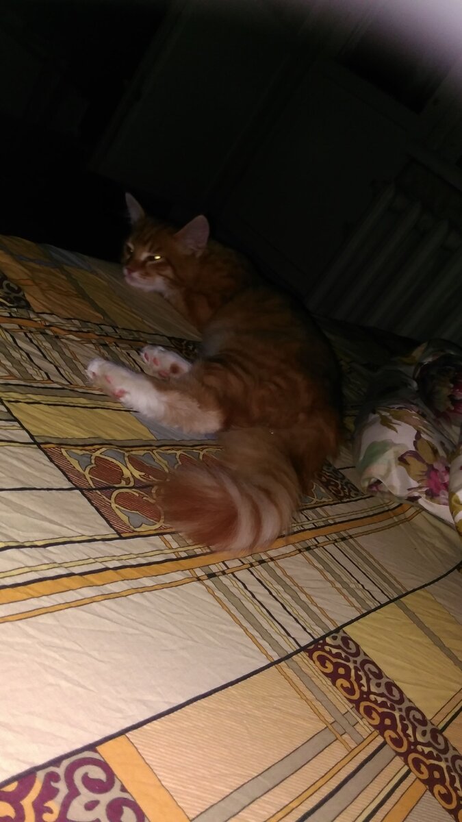 Вот таким был мой Марсель