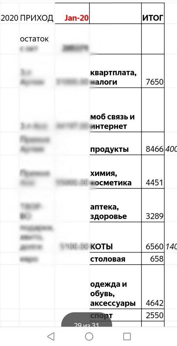 Кусочек из таблицы по ведению доходов и расходов
