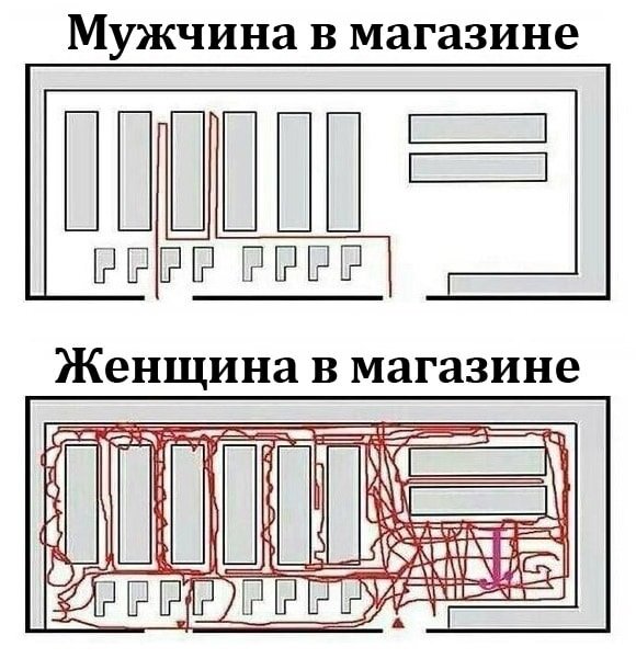 Фото с сайта https://interesnyefakty.org/