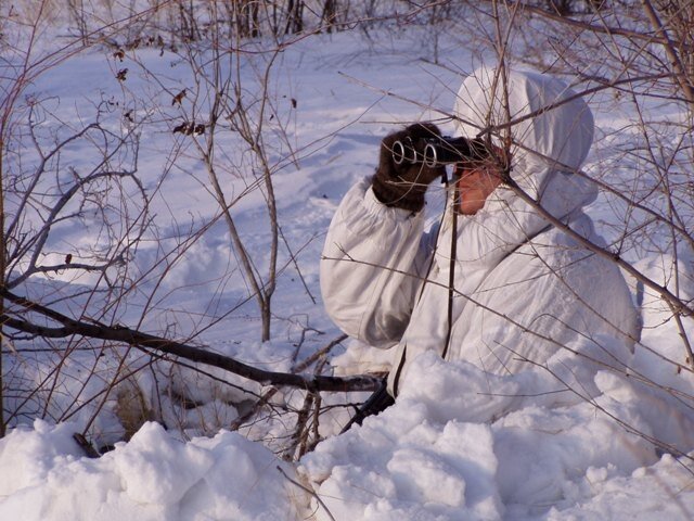Картинка взята из источника: https://www.ural56.ru/photos/2011/february2011/P1010096.jpeg.