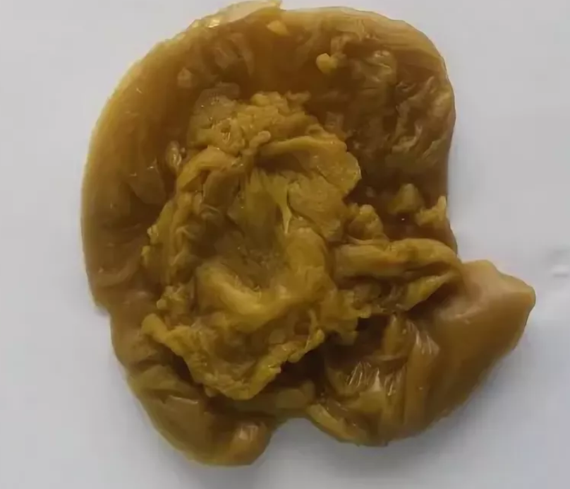 яндекс.поиск