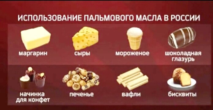 Фото из интернета 