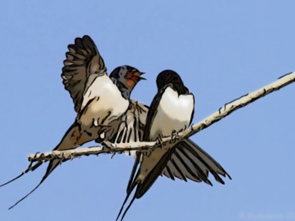 Иллюстрация автора