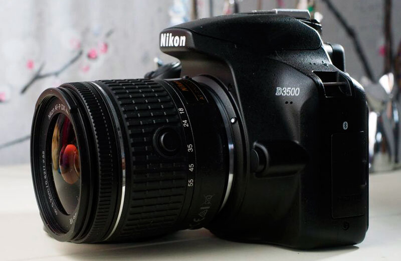 Возможно, зеркальные камеры уже устарели по сравнению с современными беззеркальными аналогами, но, модели вроде Nikon D3500 остаются отличным выбором для новичков.-2