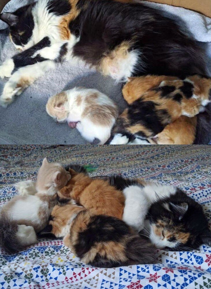 Источник фото: https://yandex.ru/images/