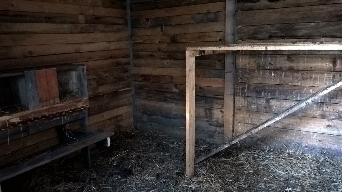 Курятник внутри