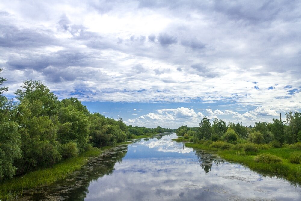 Реки саратова