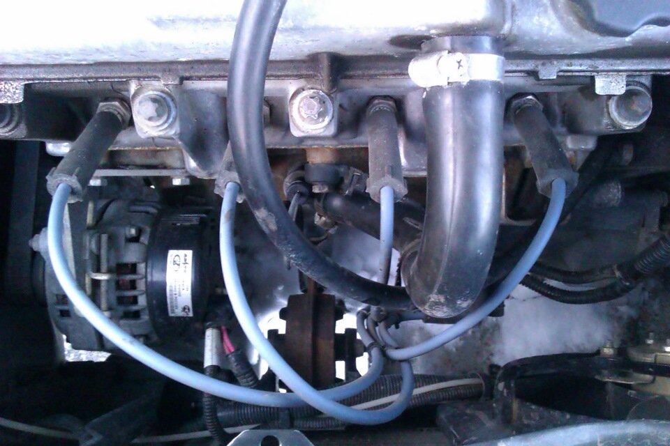 "Картинка из общего доступа"