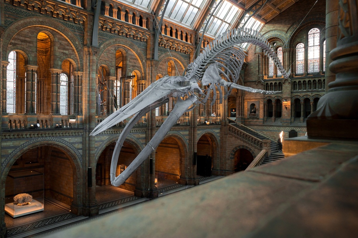 National history museum in London
