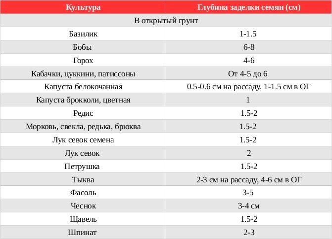 Сроки посева и глубина заделки семян овощных культур