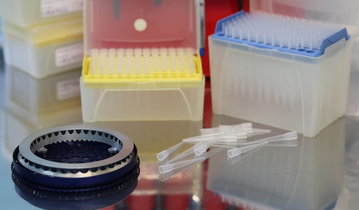 Фото: https://pixabay.com/