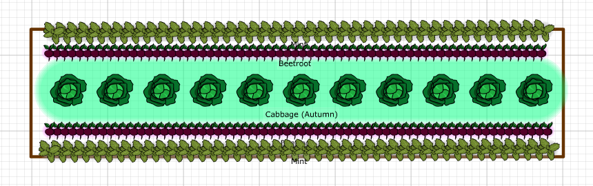 Капуста, свекла, мята
