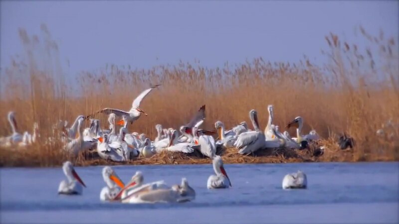 Источник Яндекс Картинки