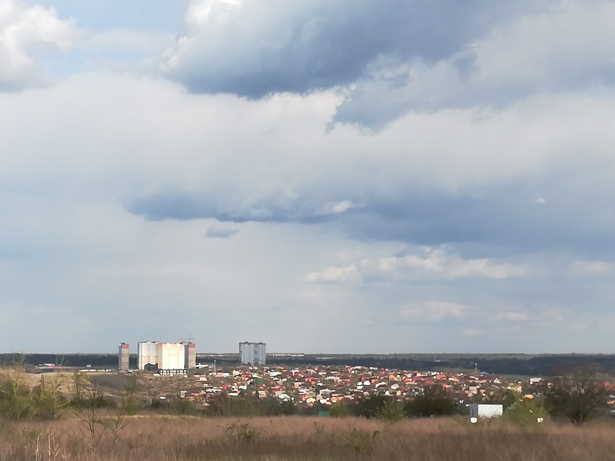 Интроверты живут в стороне и смотрят с безопасного расстояния на людей