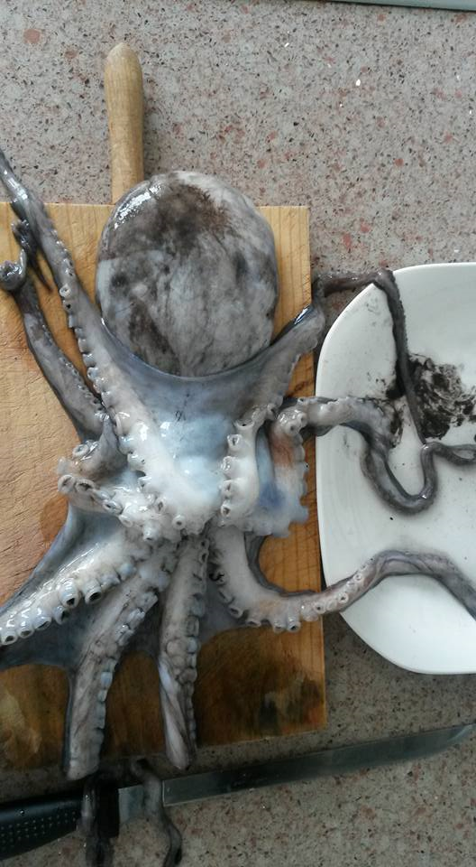 В магазине было написано "маленький осьминог". Пока готовила, вытекло полстакана чернил.   