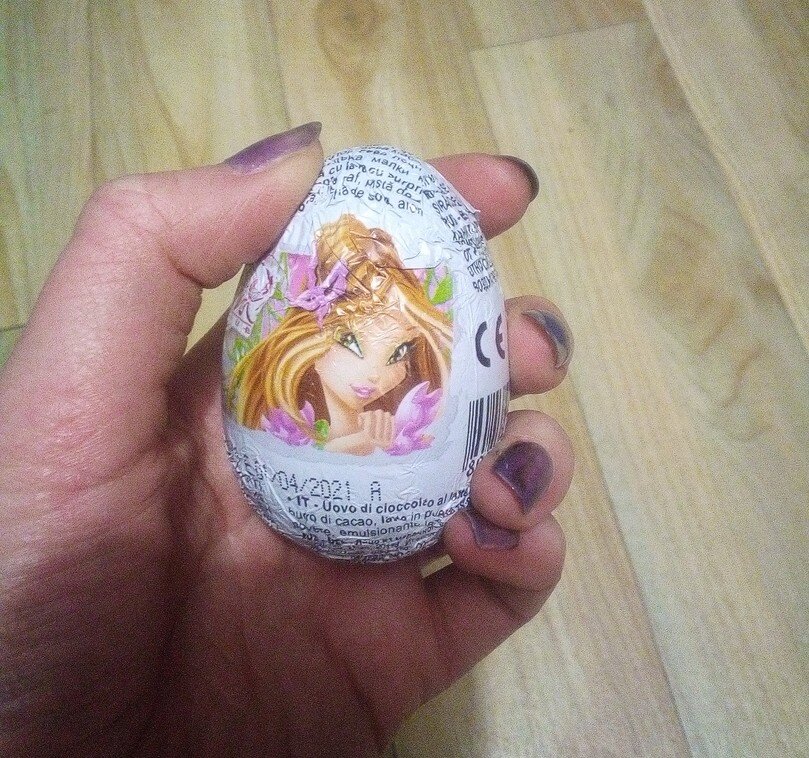 Шоколадное яйцо Zaini с подарком-сюрпризом