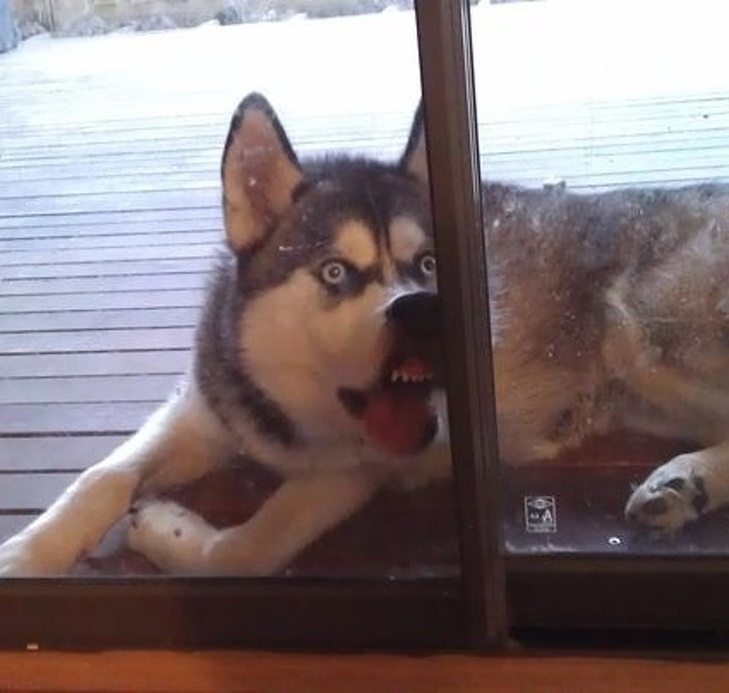 © Aalicedee / imgur