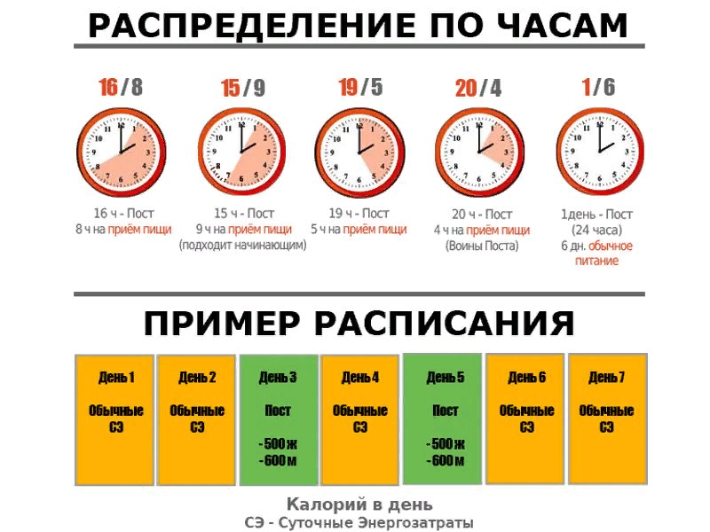 План голодания. Интервальное голодание 16/8 схема питания. Интервальное голодание 16/8 схема для начинающих женщин по часам. Интервальное питание 16/8 схема. Интервальное голодание схемы схемы.