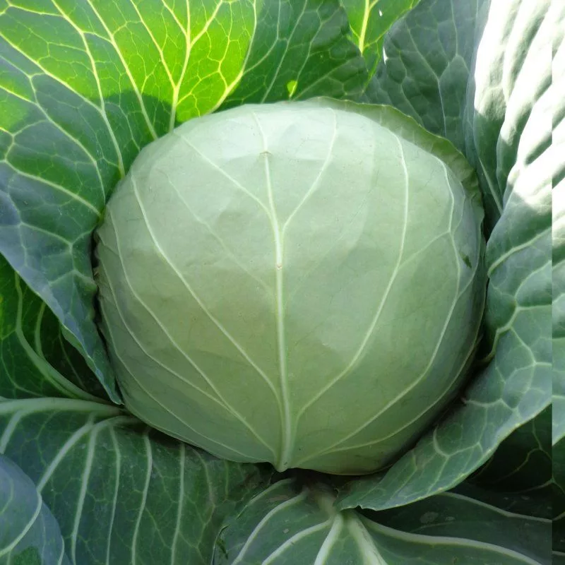 загружается..    