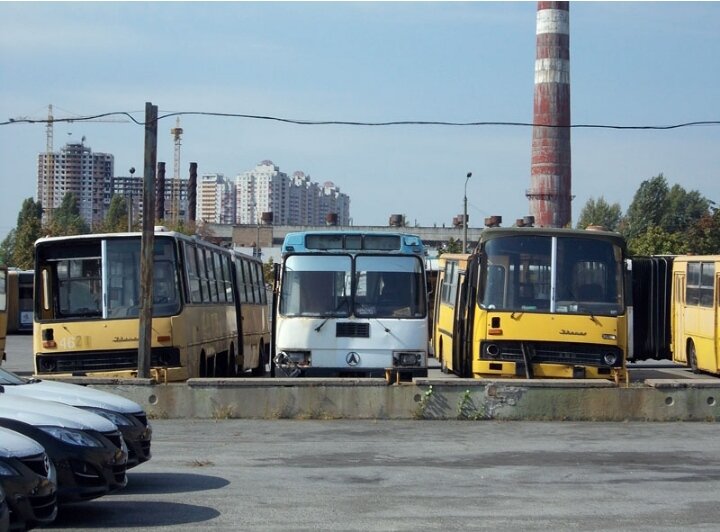 Тройка борзая стоит 