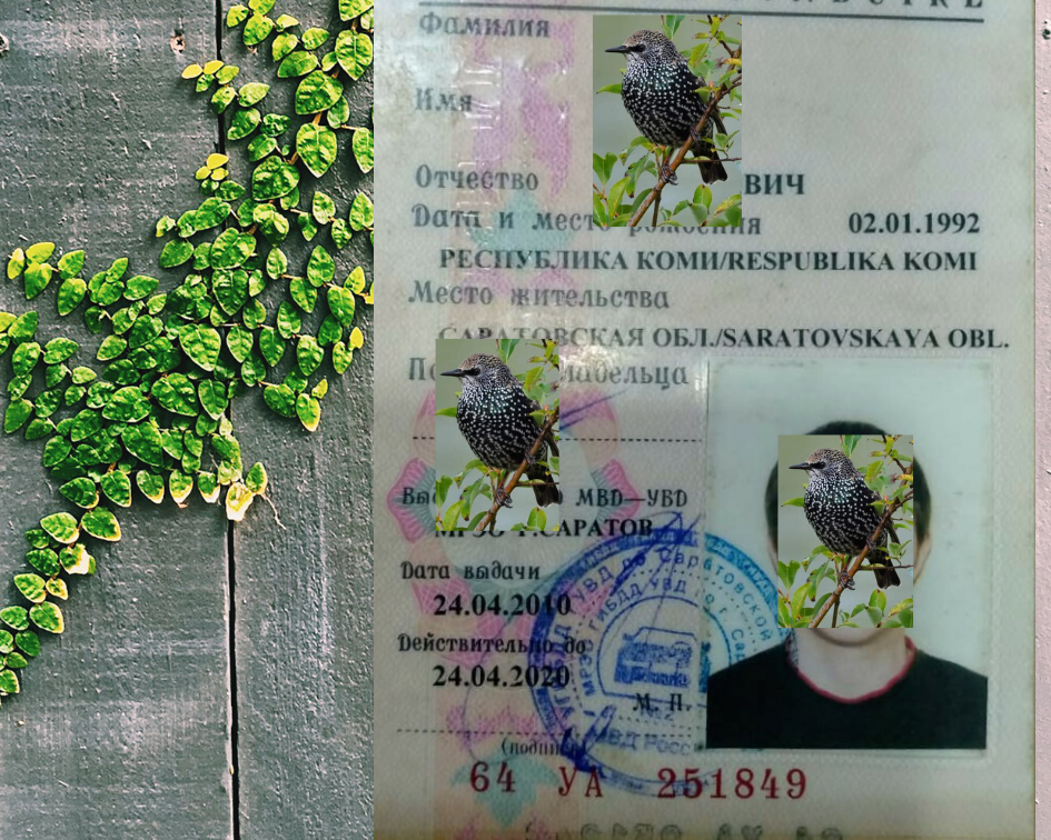 Фото из личного архива автора