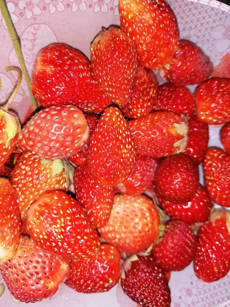 Вкуснятина!!!