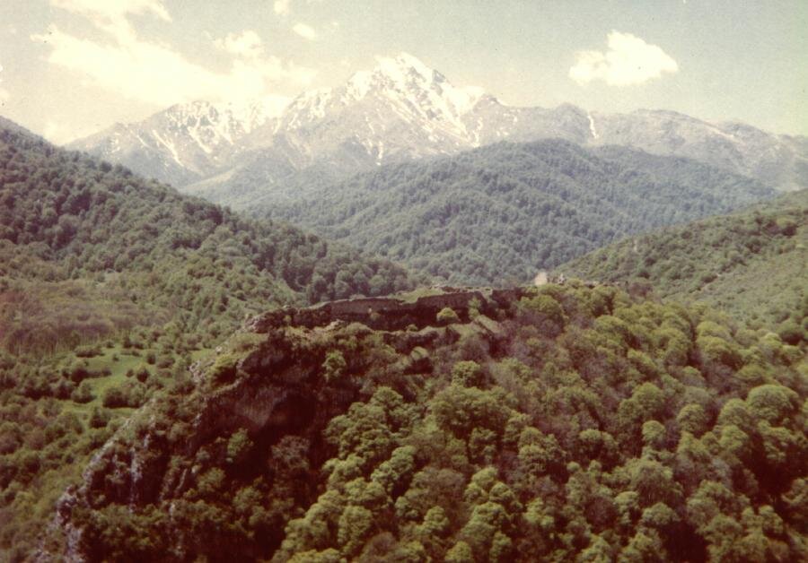 Фотоотчет   