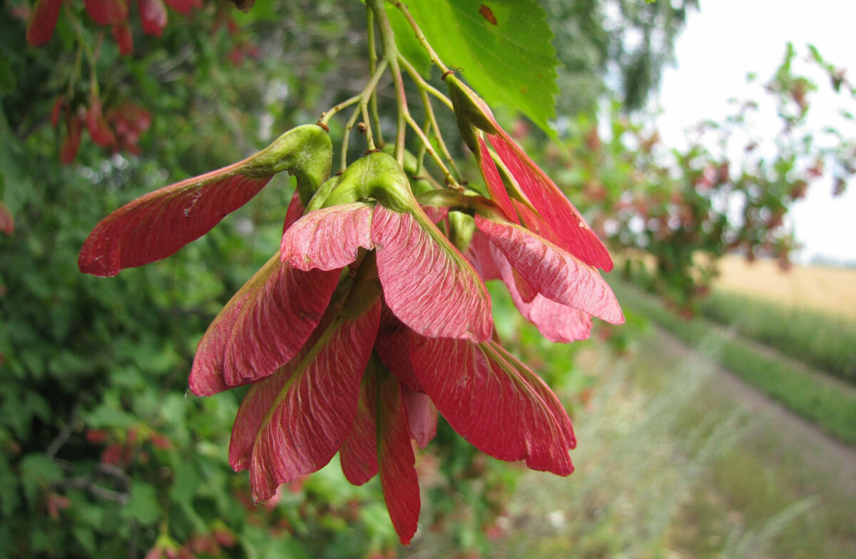 Источник - Яндекс.Картинки