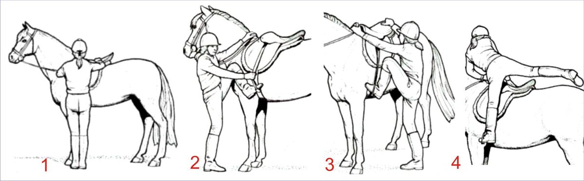 Авторское изображение (скан с памятки ЦМИ)