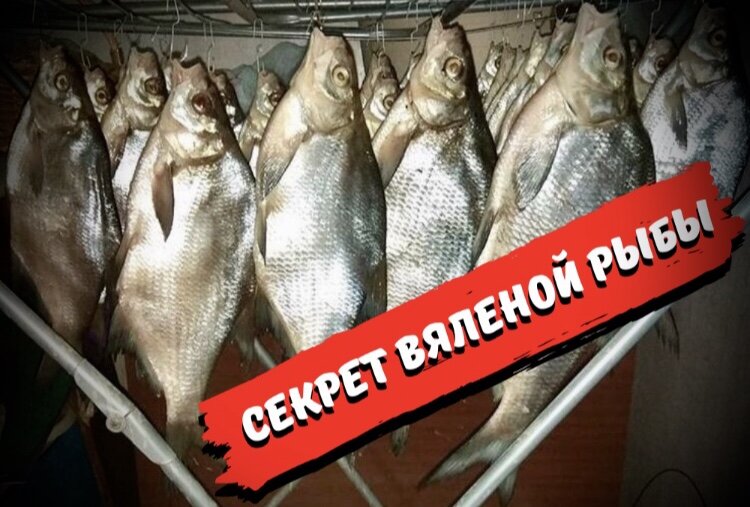 Вялим на сушилке для белья. 