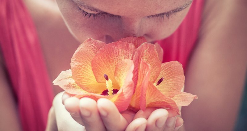 Аромат цветов