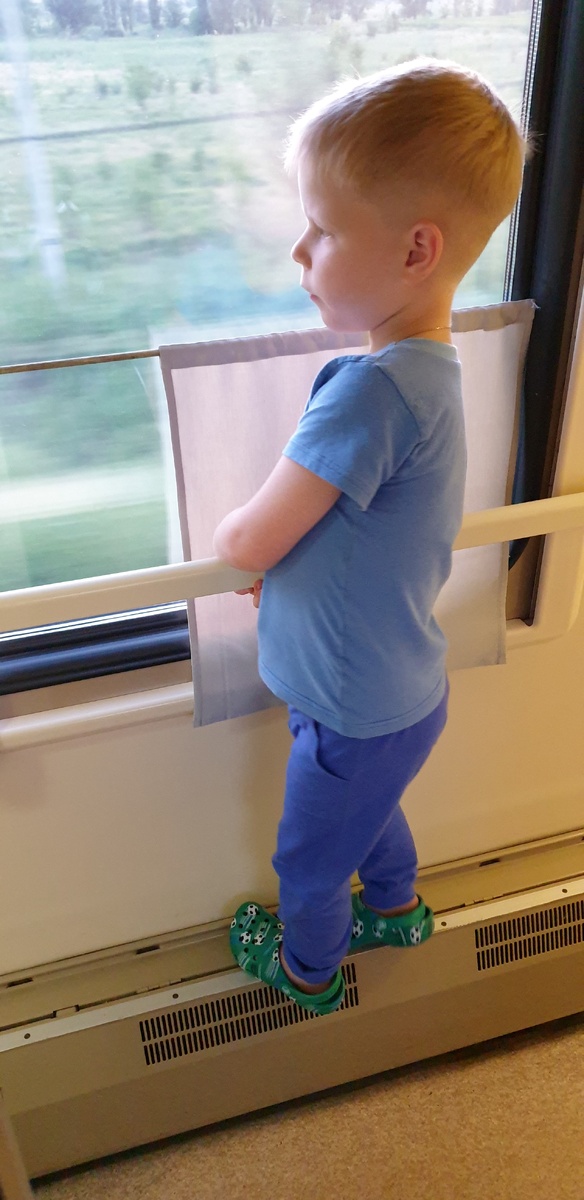 Дорога... Пейзаж за окном завораживает