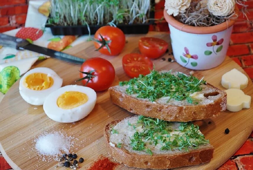 Фото: pixabay.com