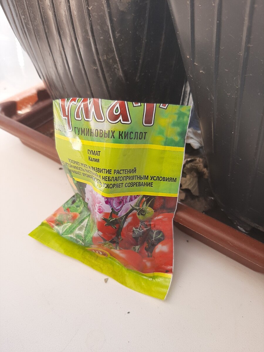 Выглядит он вот так