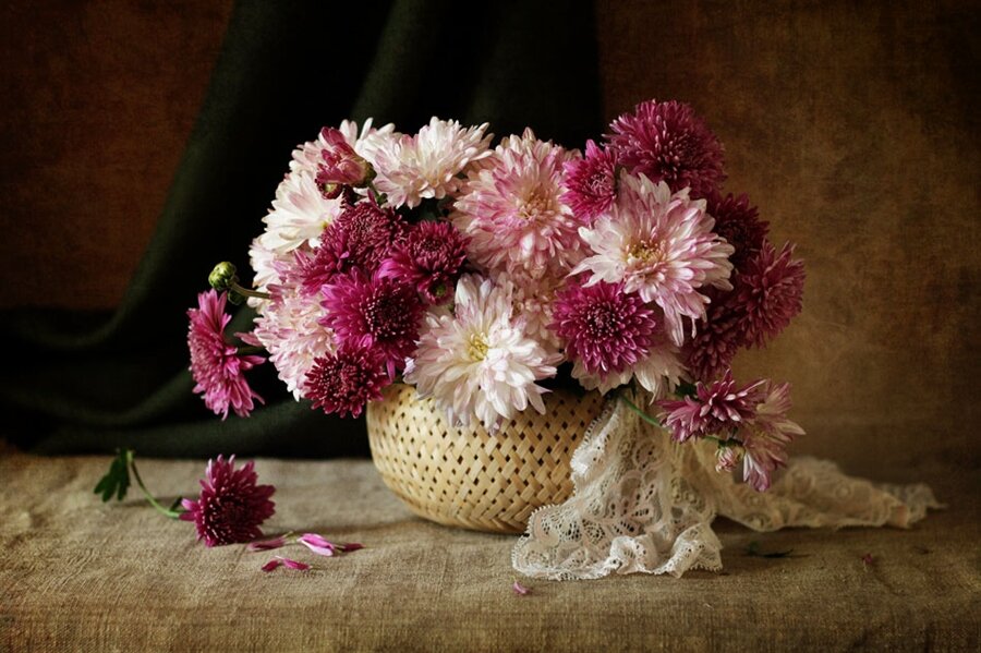  Источник - яндекс- коллекция. 