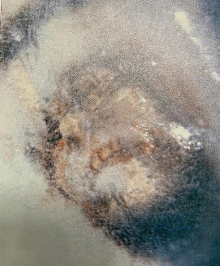 Голова "Замороженного существа из Миннесоты" 