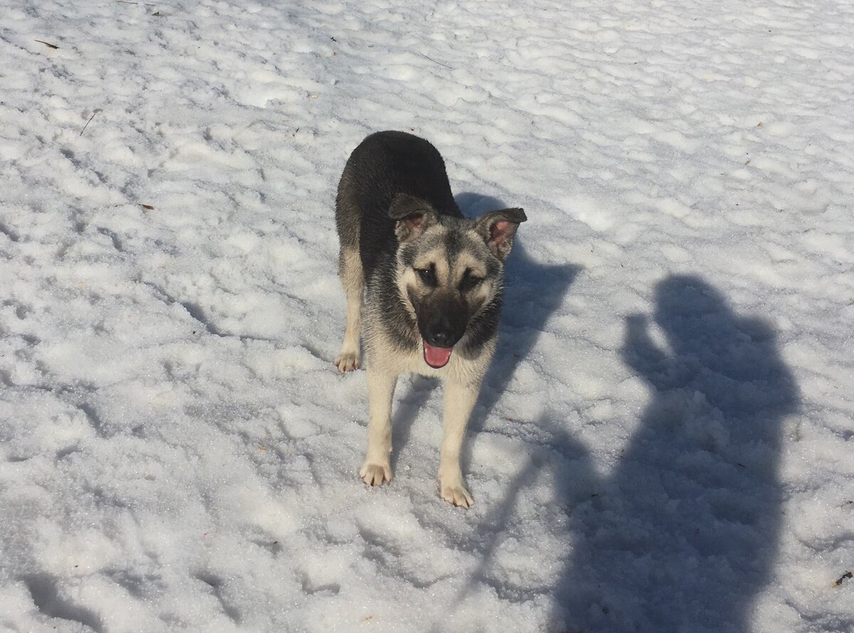 Дина, 29.03.2019 | Фото: Люба П.