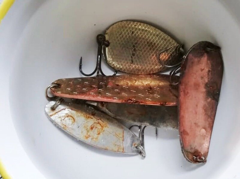 Фото: уголок-рыбака.рф