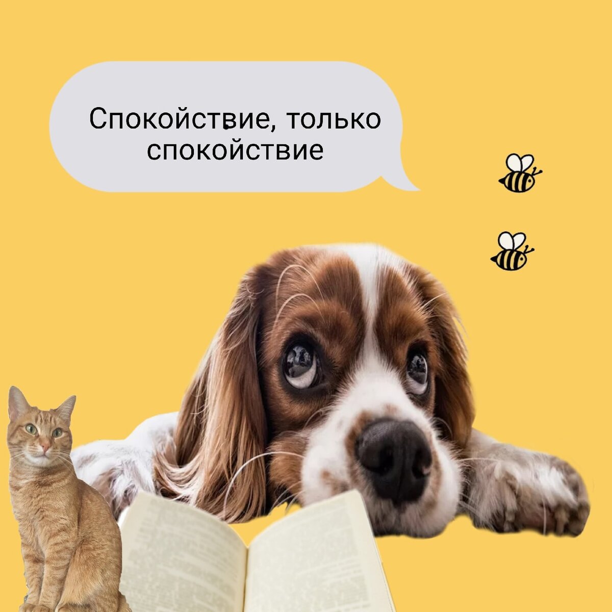 внимание щенок