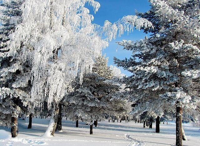 Я  очень  горжусь этой  фотографией