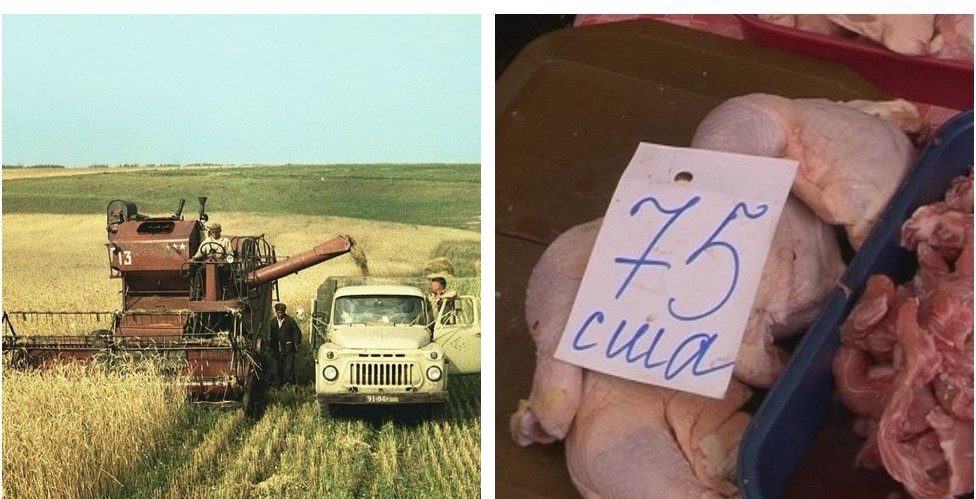 Разрушение колхозов спустя тридцать лет отозвалось провалившимся импортозамещением?0