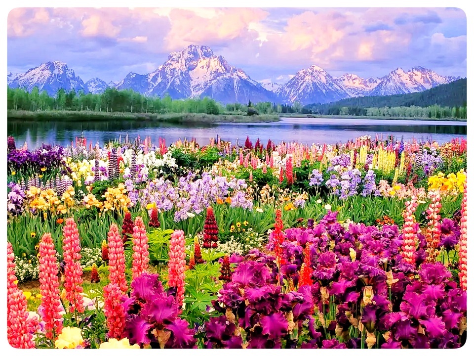 Долина цветов